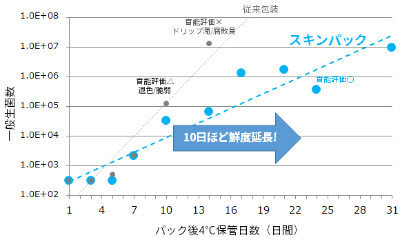 保管日数グラフ